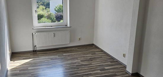 Neu renovierte 2-Zimmer Wohnung mit EBK in zentrumsnähe