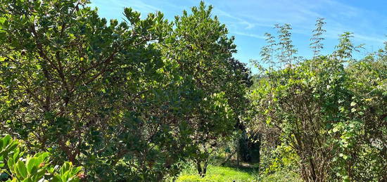 Bilocale via di Tizzano, Grassina, Bagno a Ripoli