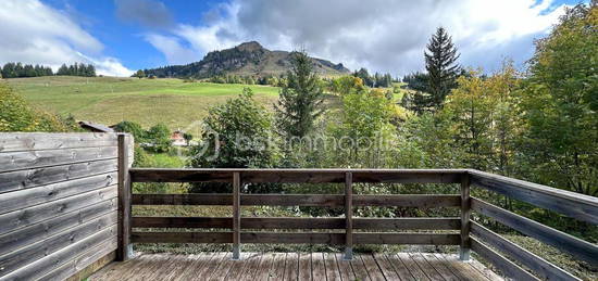 APPARTEMENT TYPE 2 - TERRASSE - VUE SUR LE DOMAINE SKIABLE