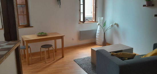 Appartement 41m² Graulhet