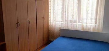 Apartament cu 2 camere in Alexandru cel Bun