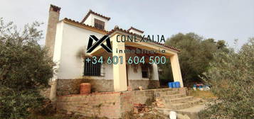 Casa o chalet en venta en Pruna