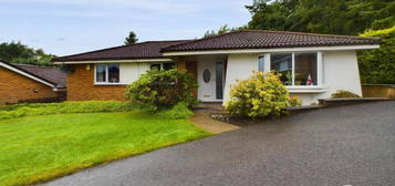 3 bedroom detached bungalow