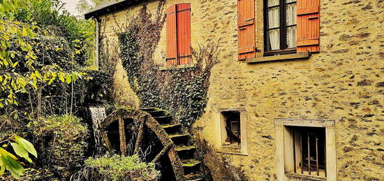 MOULIN AUTHENTIQUE SUR 2 HECTARES AVEC ETANG