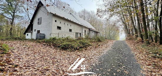 Pronájem rodinného domu, ul. Rekreační , Hlučín - Bobrovníky