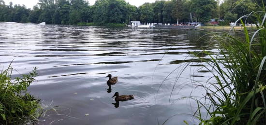 Mieszkanie Łódź Górna, ul. Plażowa 12