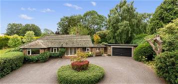 Bungalow for sale in Sandhurst Lane, Bexhill-On-Sea TN39