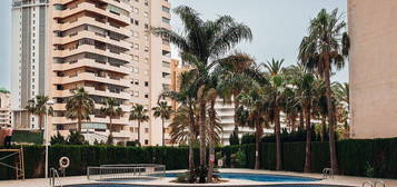 Piso en avenida Juan Carlos I en Zona Levante - Playa Fossa, Calpe/Calp