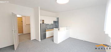 Pronájem bytu 1+kk 42 m²