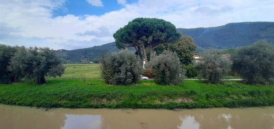 Casa indipendente in vendita a Pontasserchio-Pappiana-Orzignano