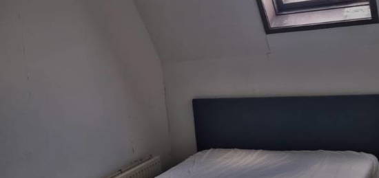 room for rent kralingen crooswijk