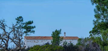 Quintinha Alfambras com vista mar