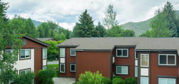 1040 Atelier Condo Dr, Sun Valley, ID 83353