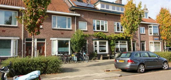 Pieter Nieuwlandstraat