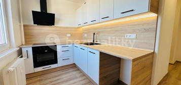 Pronájem bytu 3+1 83 m², Březinská,