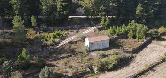 Quintinha próximo de Fornos de Algodres