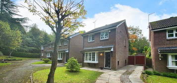 3 bedroom detached house to rent