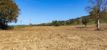 Rustico Vocabolo Acquasanta, Alviano