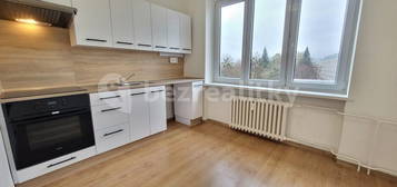 Pronájem bytu 2+1 55 m², Husova,