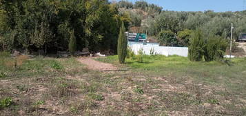 Finca rústica en venta en N/a, -1, Alcaudete