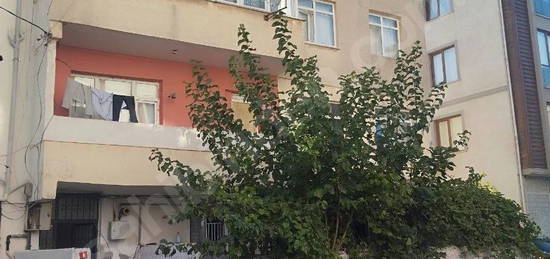 daire aile apartmanı