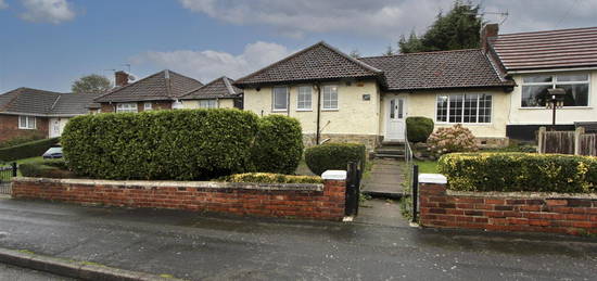 Semi-detached bungalow to rent in Cedar Street, Hollingwood, Chesterfield S43