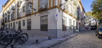 Piso en calle Bordador Rodr&#xED;guez Ojeda