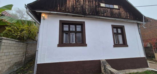 Rodinný dům, 74 m² + 280 m² pozemek, Syrovín