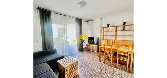 Apartamento de alquiler en Zona Playa del Cura