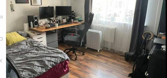 1 bedroom flat