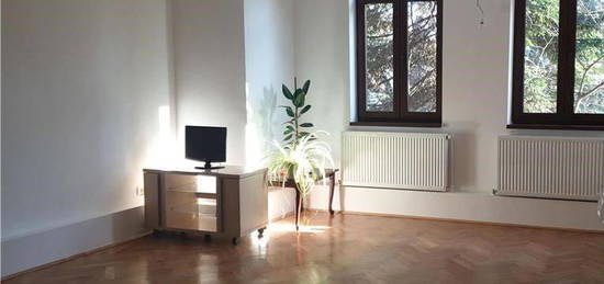 Kiseleff I Apartament 3 camere in vila