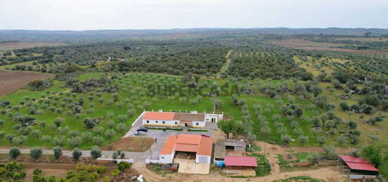 Quinta com 39 Hectares com Moradia V5 para venda em Monsaraz, Évora , Alentejo