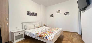 525Euro, Universitate, Rosetti, centrala, pet friendly