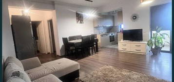 Apartament 2 camere - Centru de Scafandrii