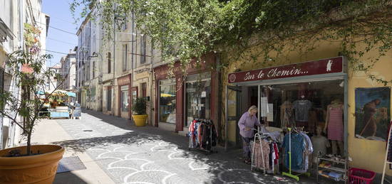 2 appartements dans une maison de village et avec un garage