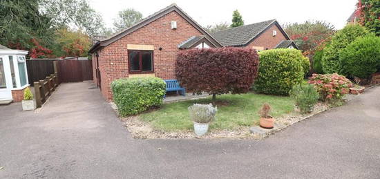 Bungalow to rent in Chestnut Close, Rushden NN10