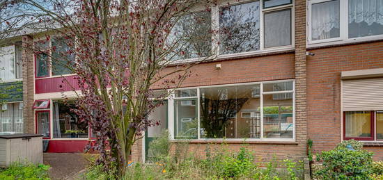 Graaf Reinoutstraat 23