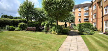 1 bed flat to rent