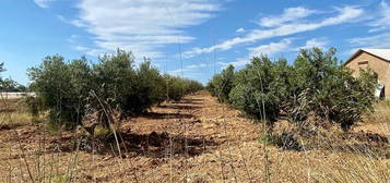 Finca rústica en venta en  Pj Cs Palmeron-ds Magdalena, 4