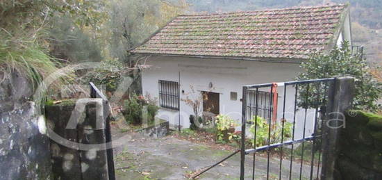 Moradia - Tendais - Cinfães, Vila de Muros, Tendais