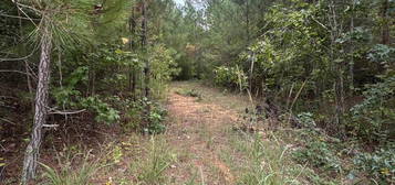 0 Rock Springs Rd, Jacksons Gap, AL 36861