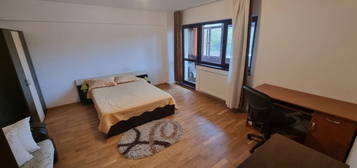 Apartament  1 camera Podul de Fier , 41 metri, etaj 2 Cod:156482