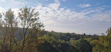 Stilvolle, sanierte 2-Raum-Wohnung mit Balkon und EBK in Bergisch Gladbach