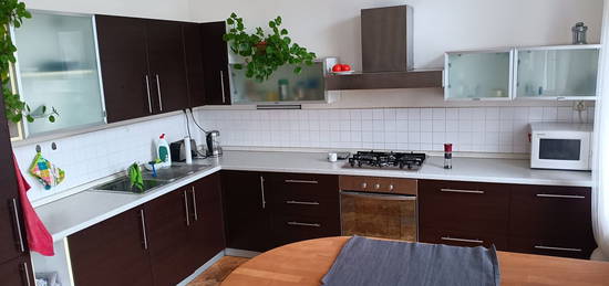 Pronájem bytu 2+1 67 m² (Jednopodlažní)