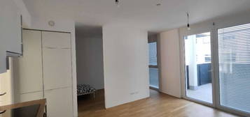 Wohnung zu vermieten (Neubau) Lendpark