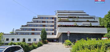 Byt 1+kk, 16 m², Lesní, Rožnov pod Radhoštěm