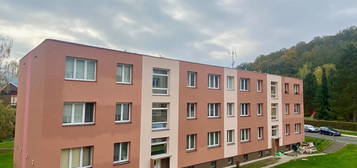 Byt 2+1, 52 m², Studentská, Ústí nad Labem