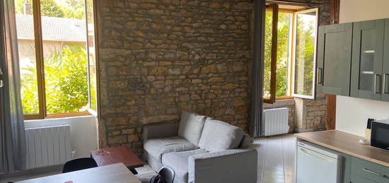 Appartement T1 Bis avec cave à St Cyr Au Mont D'Or