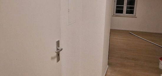 Renovierte Einzimmerwohnung zentrale Lage