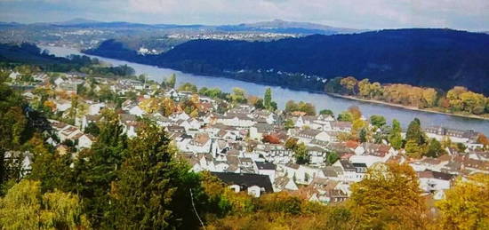 Attraktive und neuwertige 1-Raum-Erdgeschosswohnung mit lux. Innenausstattung mit Balkon